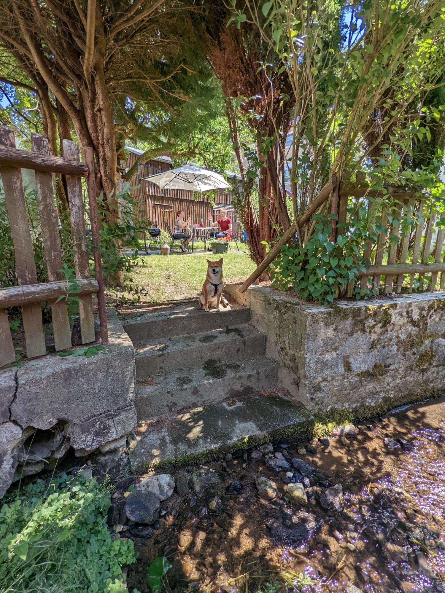 H2 - Urlaubsmagie - Garten, Pool, Terrasse, Grill Sebnitz Exterior foto