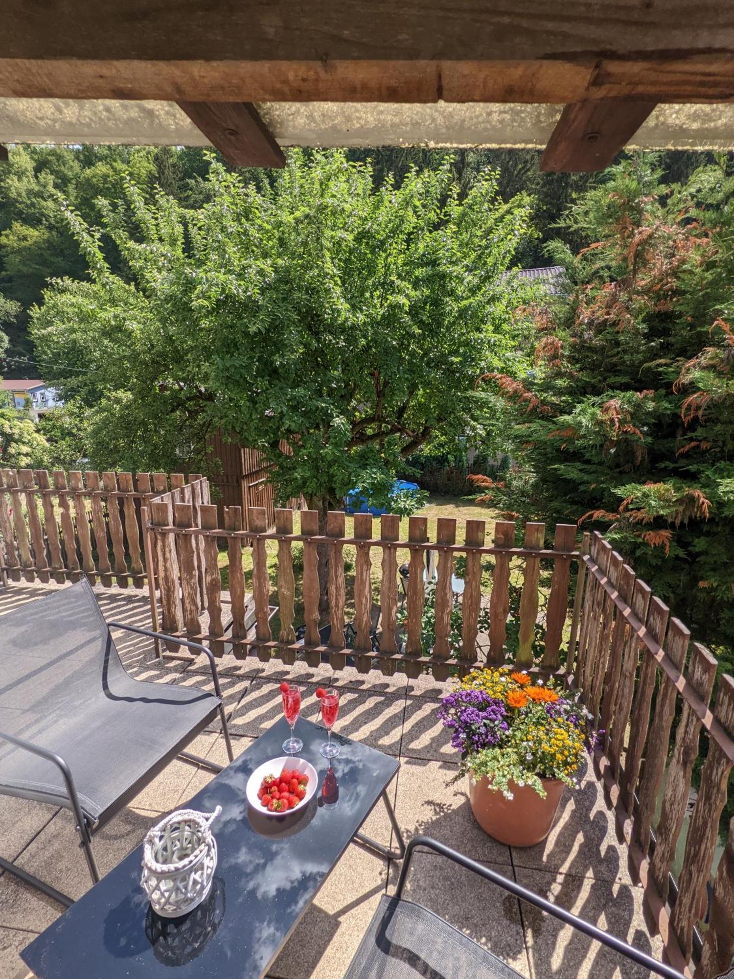H2 - Urlaubsmagie - Garten, Pool, Terrasse, Grill Sebnitz Exterior foto